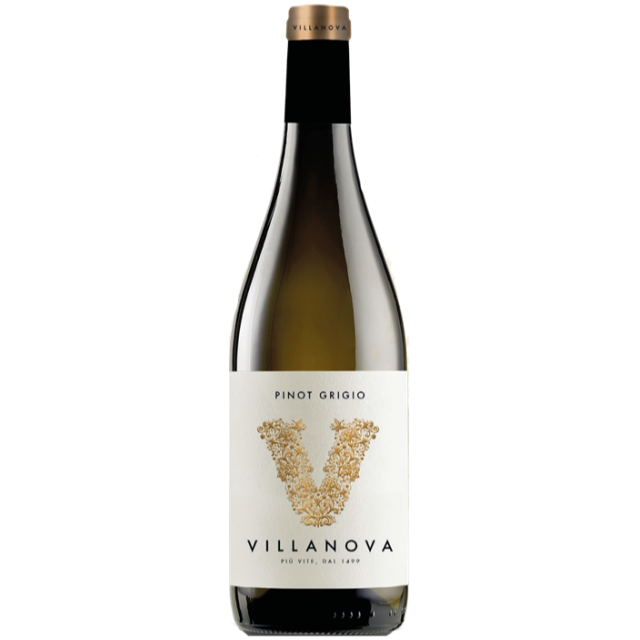 VILLANOVA Pinot Grigio Collio 2021 in FRIULI WHITE WINES, by TENUTA VILLANOVA 
